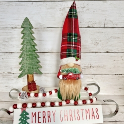 Timmy’s Favorite Tree