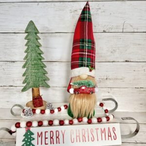 Timmy's Favorite Tree